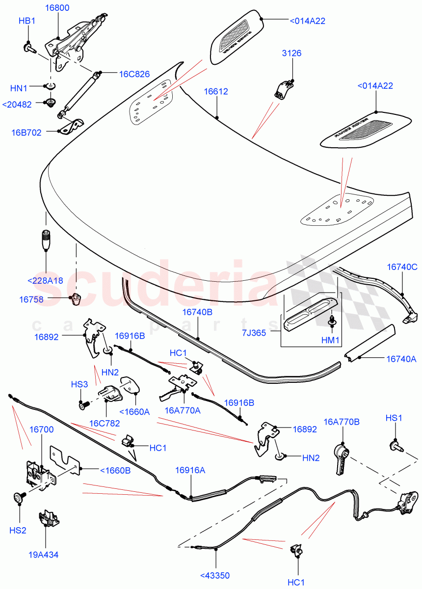 Hood And Related Parts of Land Rover Land Rover Range Rover Sport (2014+) [2.0 Turbo Petrol AJ200P]
