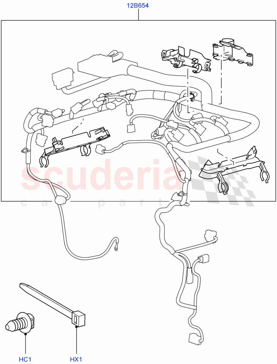 Wiring Clamps (Lion Diesel 2.7 V6 (140KW)) ((V) TO9A999999) of Land Rover Land Rover Range Rover Sport (2005-2009) [4.2 Petrol V8 Supercharged]