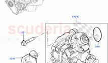 燃料噴射ポンプ - ディーゼル (ニトラプラントビルド) (3.0L AJ20D6...