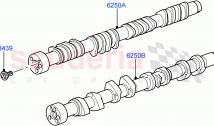 カムシャフト（5.0L OHC SGDI NA V8 ガソリン - AJ133） ((V) FROMAA000001)