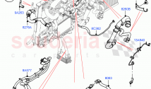冷却システムパイプおよびホース（2.0L I4 HIGH DOHC...