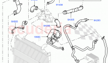 冷却装置の管およびホース（3.6L V8 32V DOHC EFI ディーゼル ライオン） ((V)...