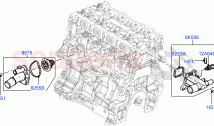 サーモスタット/ハウジングおよび関連部品（2.0L 16V TIVCT T/C...