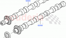 カムシャフト（2.2L CR DI 16Vディーゼル、2.2L DOHC EFI TC DW12）