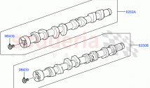 カムシャフト（5.0L OHC SGDI SC V8 PETROL - AJ133、5.0 PETROL AJ133 DOHC CDA、5.0L P AJ133..&hellip;