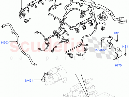 Photo of …