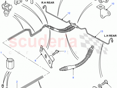 Photo of …