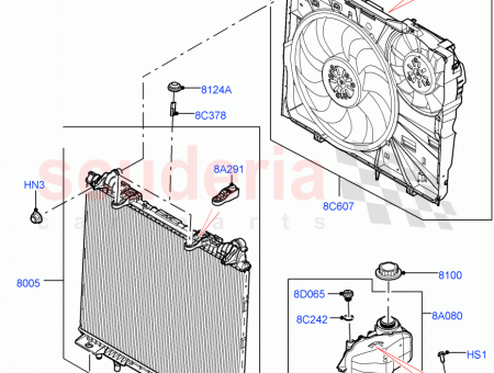 Photo of …