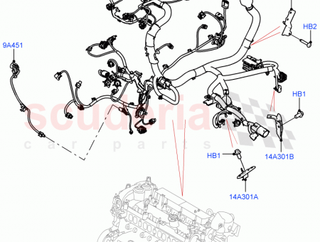 Photo of …