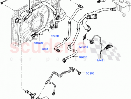 Photo of …