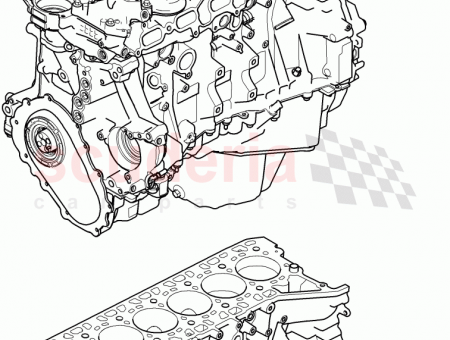 Photo of …