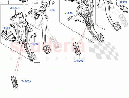 Photo of …